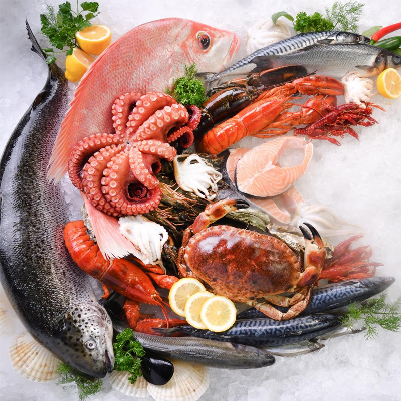 中国·yl23411(永利)集团官网-Officialwebsite